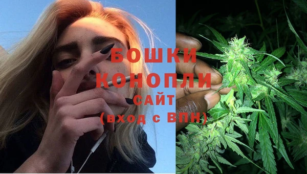 гидропоника Заволжск