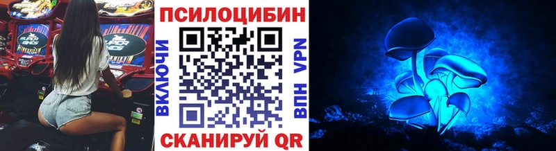 это клад  Змеиногорск  Псилоцибиновые грибы MAGIC MUSHROOMS 