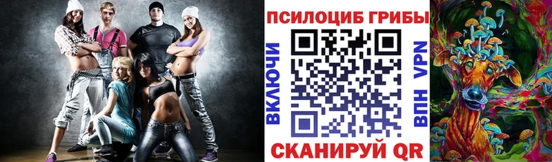 Псилоцибиновые грибы Cubensis Змеиногорск